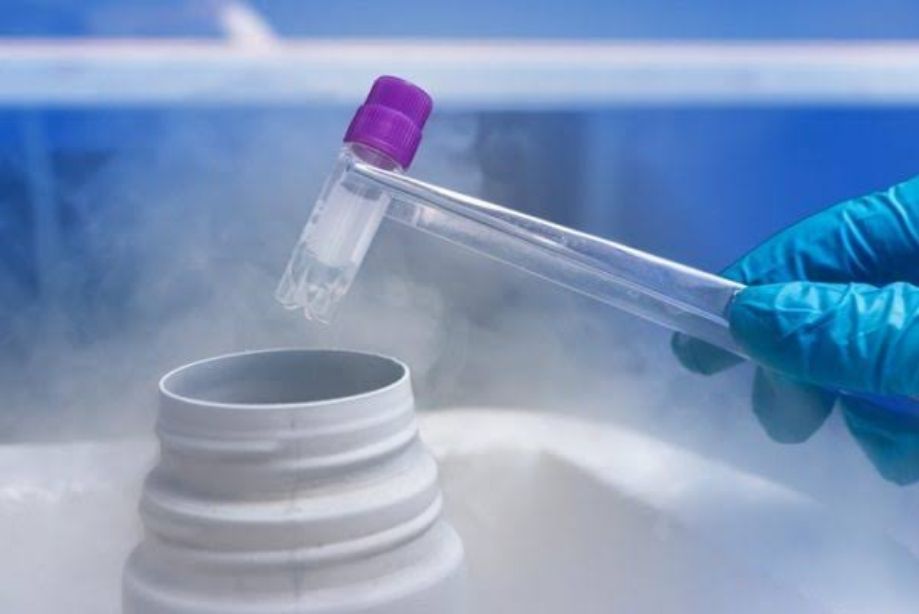 Dondurulan Embriyolar Ne Kadar Süre İle Saklanabilmektedir?
