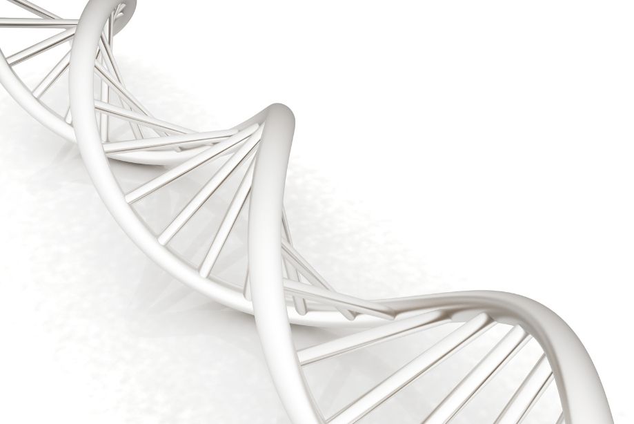 Embriyoda Genetik Test Nedir?